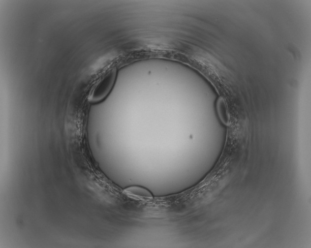 X0000112401110200908211109