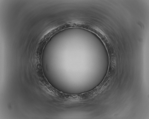 X0000112401112200908211109