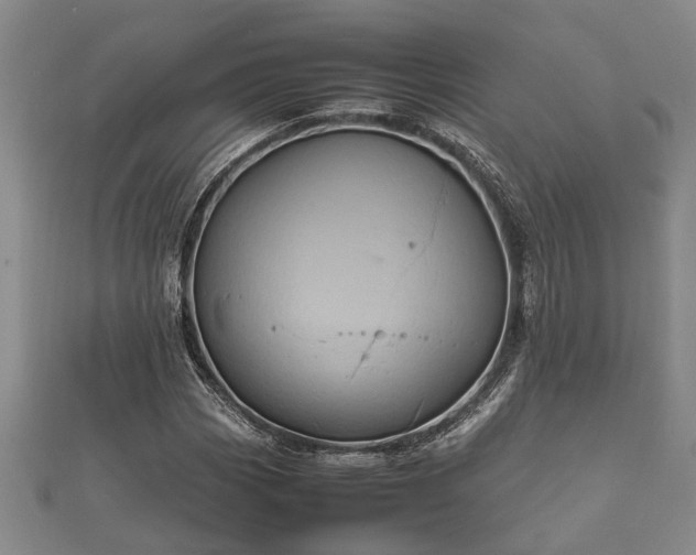 X0000112401113200908211109