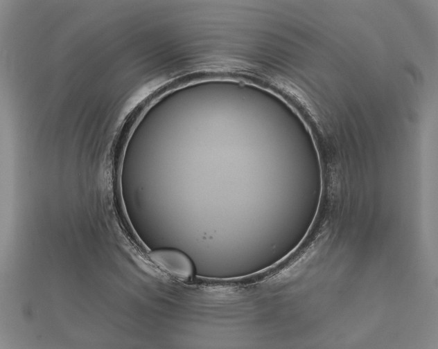 X0000112401114200908211109