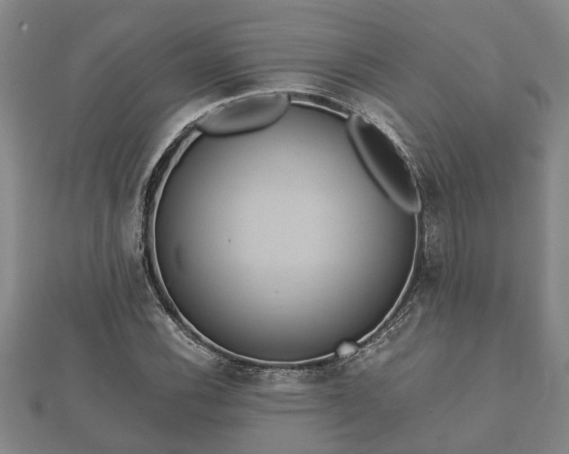 X0000112401116200908211109