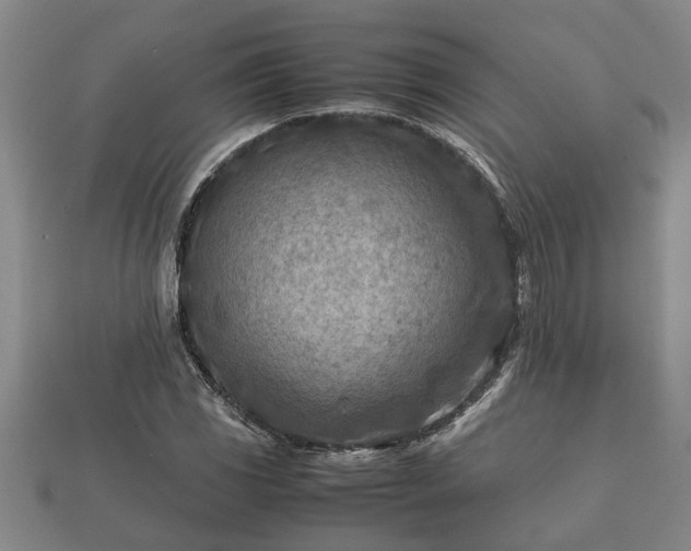 X0000112401117200908211109