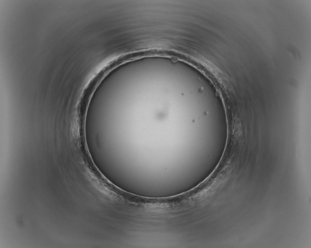 X0000112401118200908211109