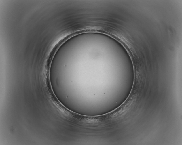 X0000112401119200908211109