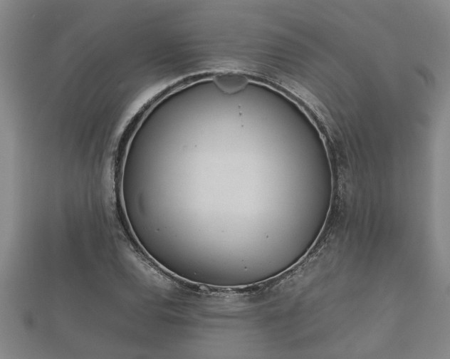 X0000112401120200908211109