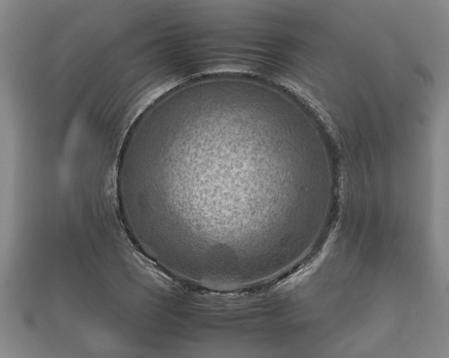 X0000112401121200908211109