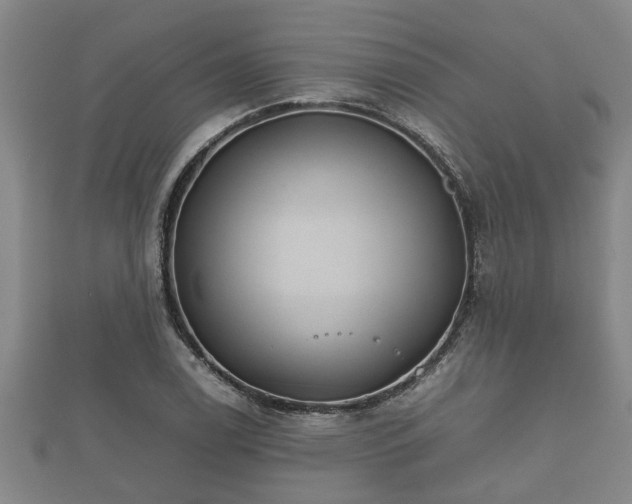 X0000112401122200908211109
