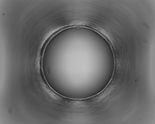X0000112401124200908211109