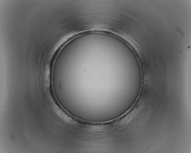 X0000112401126200908211109