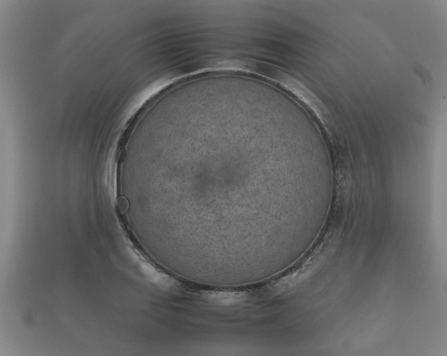 X0000112401127200908211109