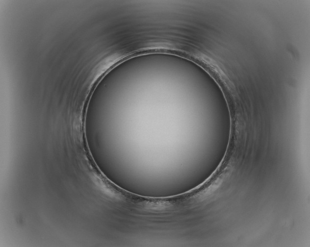 X0000112401129200908211109