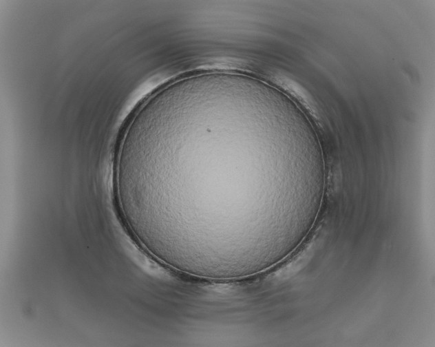 X0000112401130200908211109