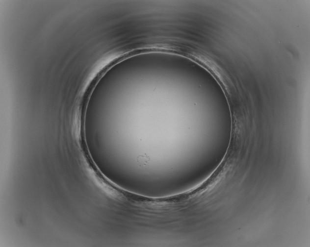 X0000112401131200908211109