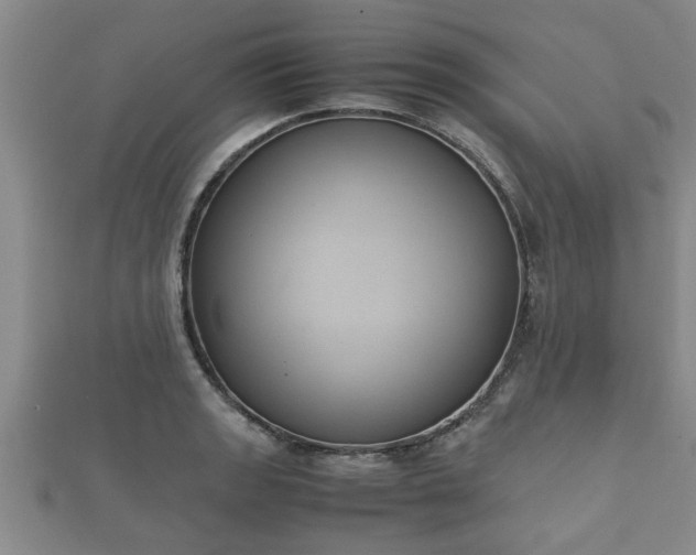 X0000112401133200908211109