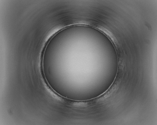 X0000112401135200908211109
