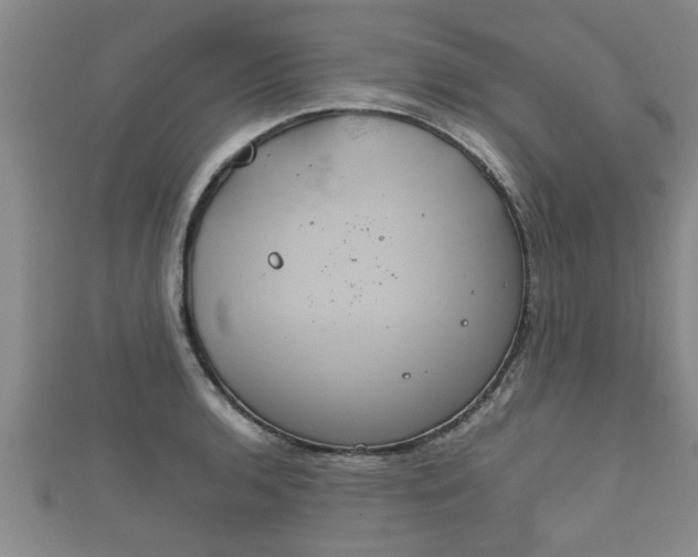 X0000112401136200908211109