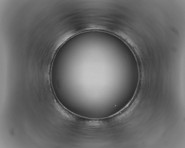 X0000112401137200908211109