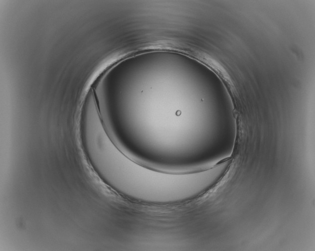 X0000112401138200908211109