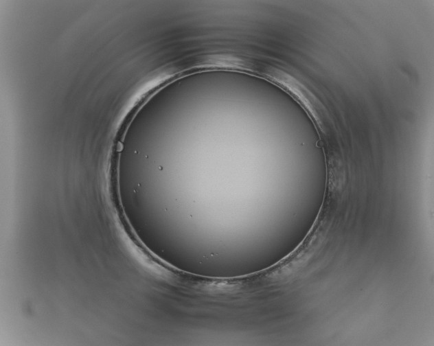 X0000112401139200908211109