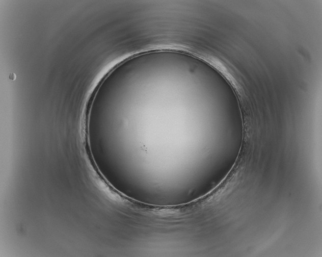 X0000112401140200908211109
