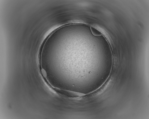 X0000112401141200908211109