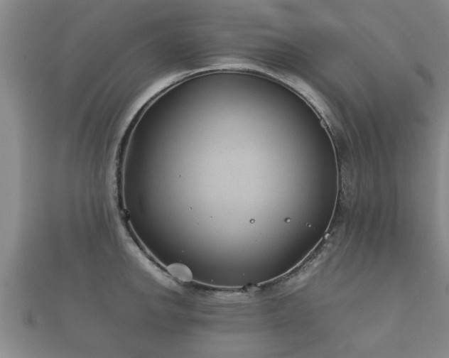 X0000112401142200908211109