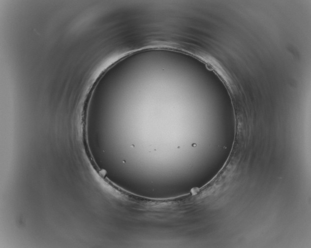 X0000112401143200908211109
