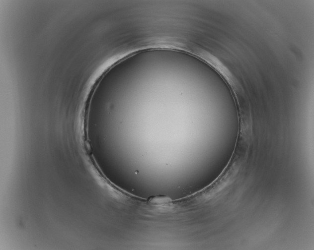 X0000112401144200908211109