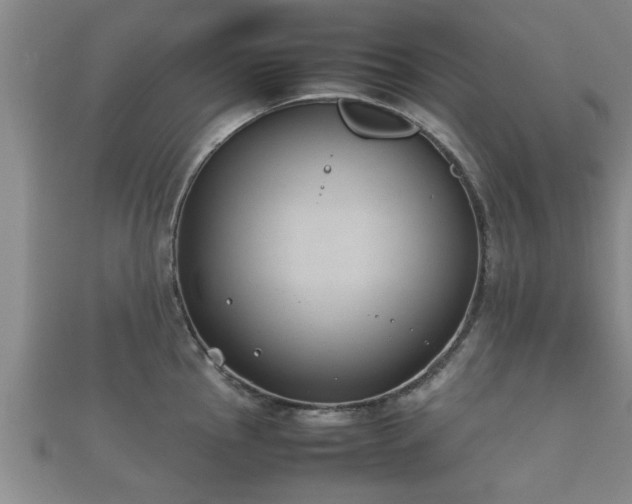 X0000112401145200908211109