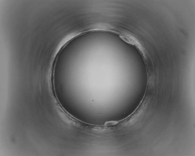X0000112401146200908211110