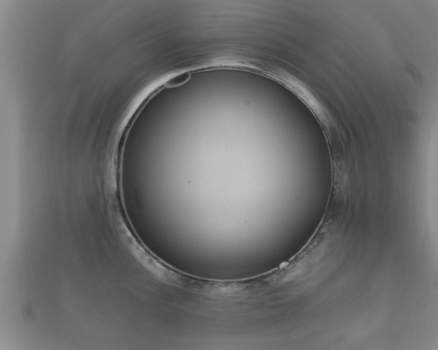 X0000112401148200908211110