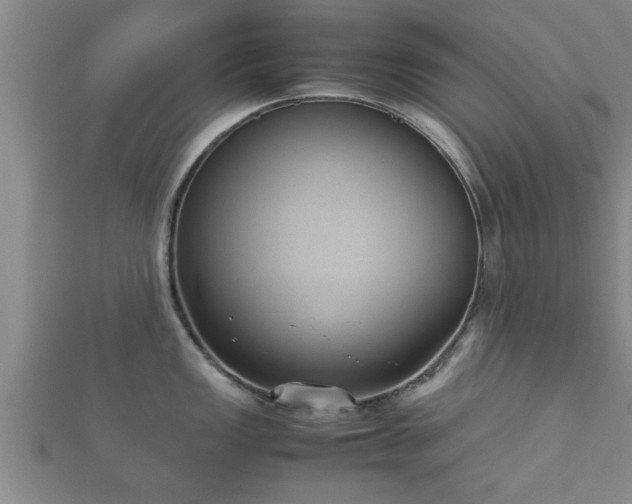 X0000112401149200908211110