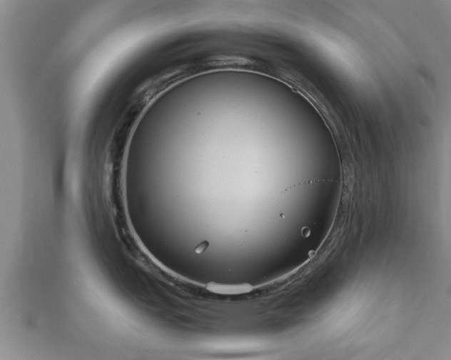 X0000112401151200908211110