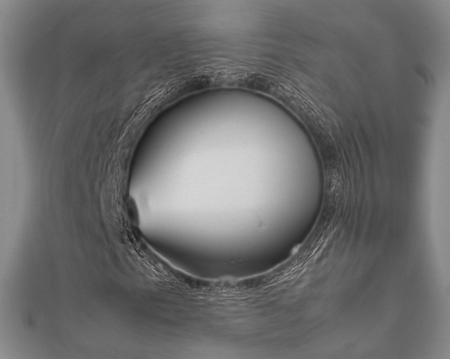 X0000112401153200908211109