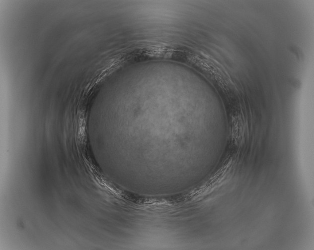 X0000112401154200908211109