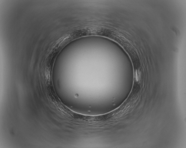 X0000112401155200908211109