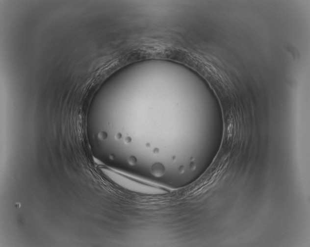 X0000112401156200908211109