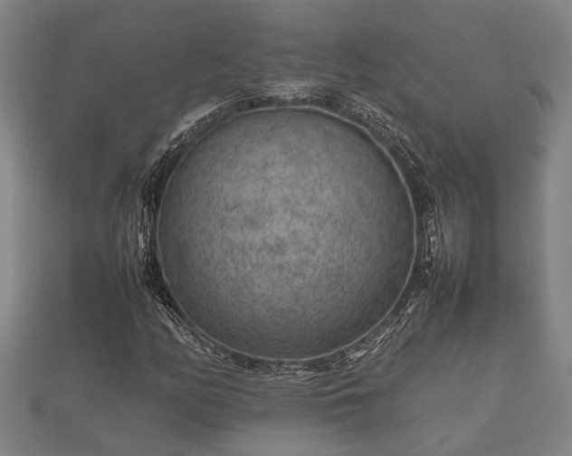 X0000112401158200908211109