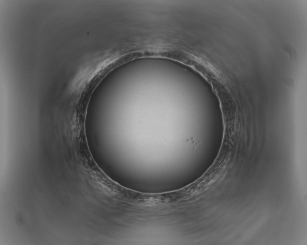 X0000112401160200908211109