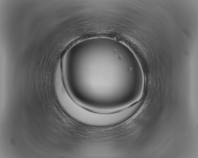 X0000112401161200908211109