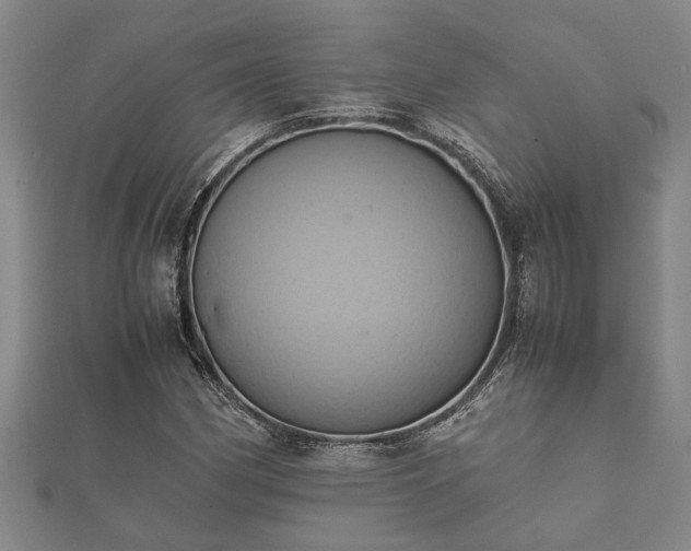 X0000112401162200908211109