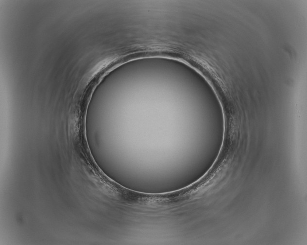 X0000112401163200908211109