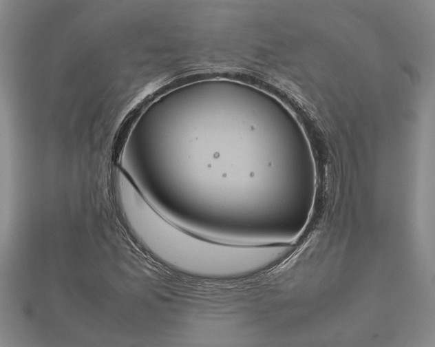 X0000112401165200908211109