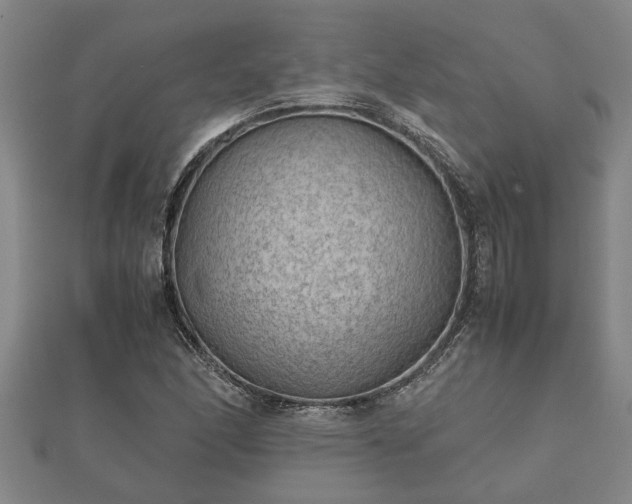 X0000112401166200908211109