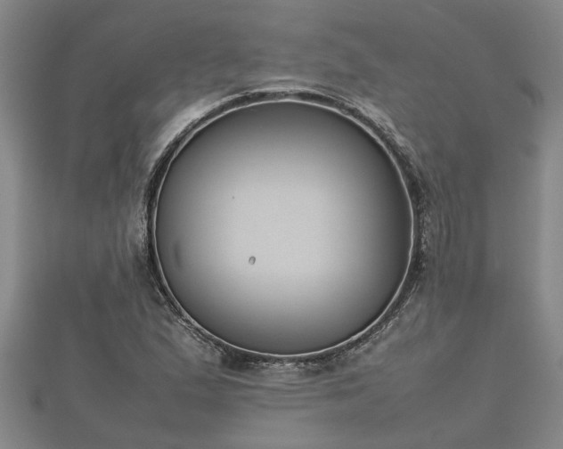 X0000112401167200908211109