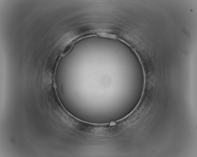 X0000112401169200908211109