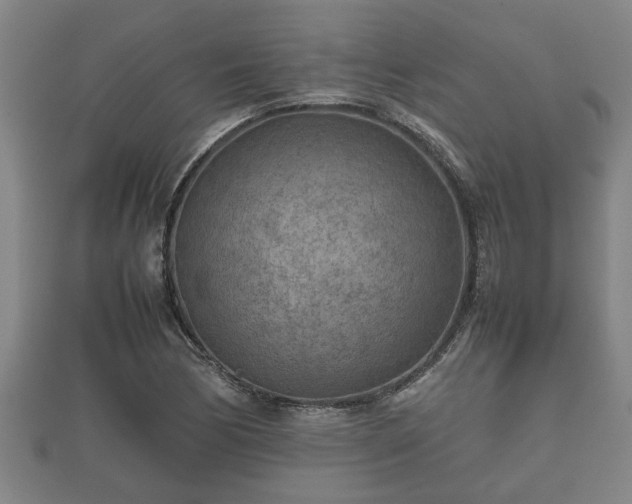 X0000112401170200908211109