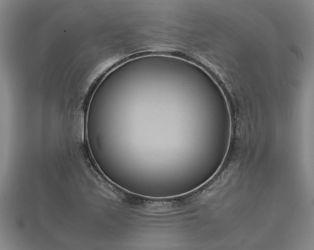 X0000112401171200908211109