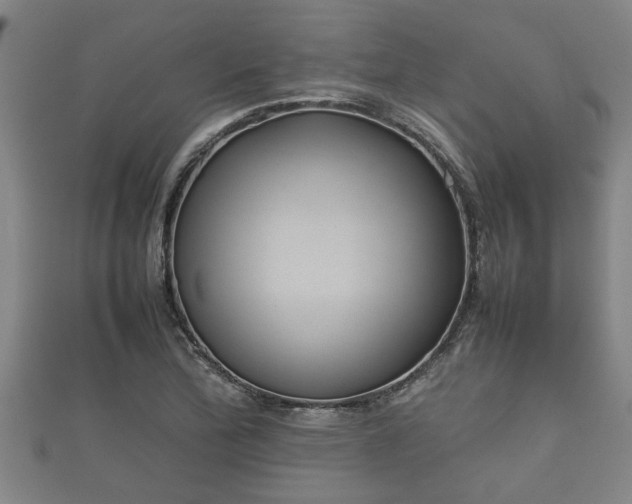 X0000112401172200908211109