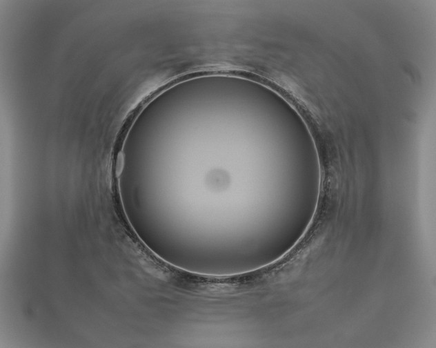 X0000112401173200908211109